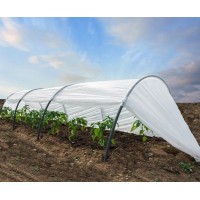 Міні-теплиця 60 гм2 15 м Першоцвіт